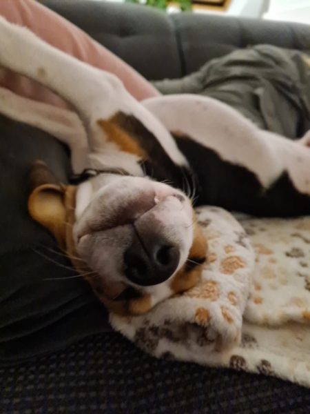 meine 16/17/18 Lebenswoche- wir sind im Urlaub!