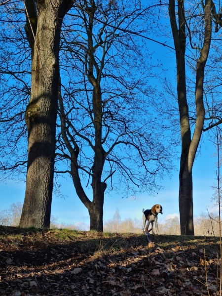 schöner Spaziergang an das Wasser