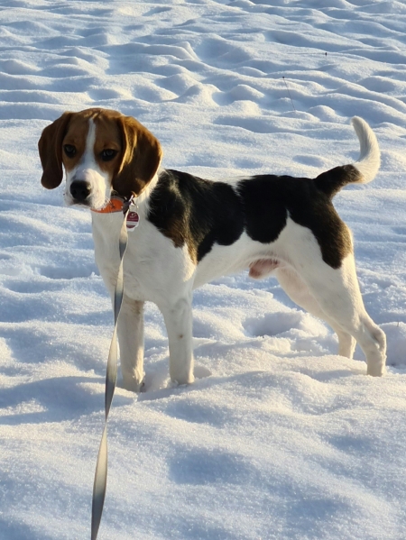 Schnee ist eine tolle Überraschung, Paul verliert die Contenance