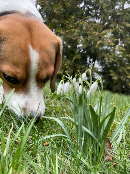 Frühling 2022