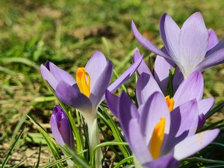 Frühling