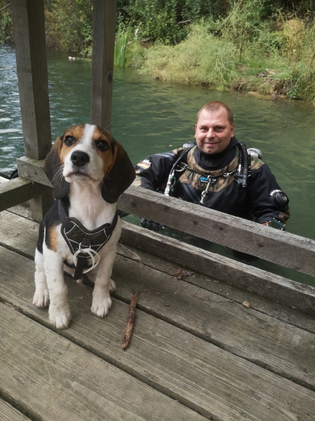 tauchen und ich schwimme schon ein bisschen mit (12 Wochen)