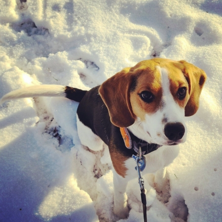 Winter in Chemnitz