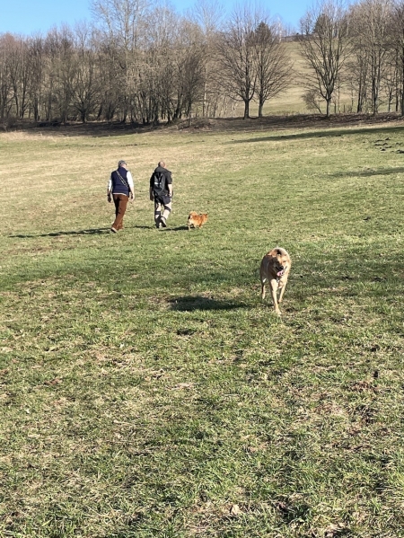 Spaziergang mit Freunden im Februar
