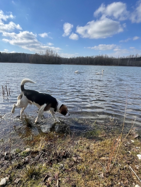 Spaziergang am See