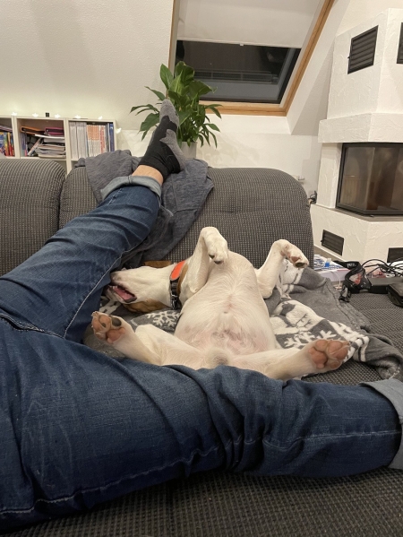 meine Couch und ich