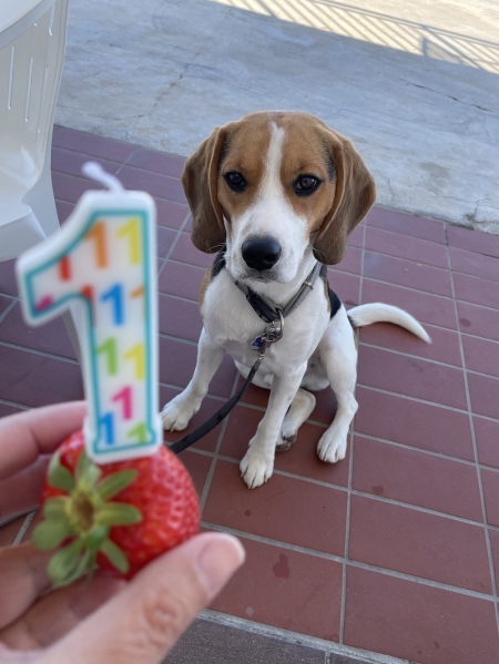 mein 1. Geburtstag