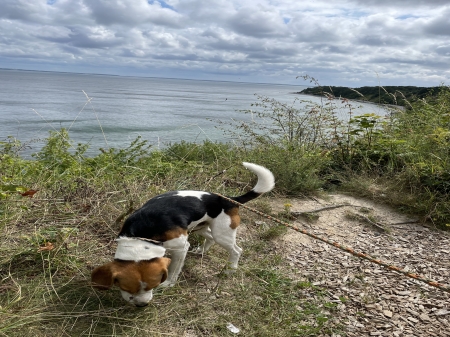 Rügen im Juli 2022