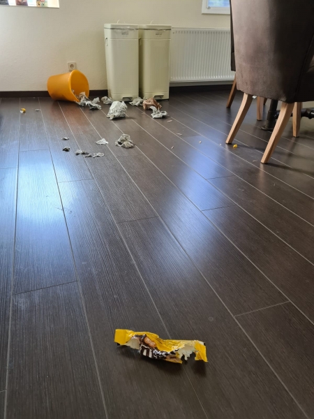 ich räume hier mal ordentlich auf:-)