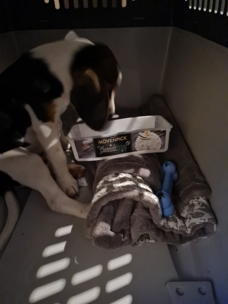 die Schlafbox wird mir schmackhaft gemacht